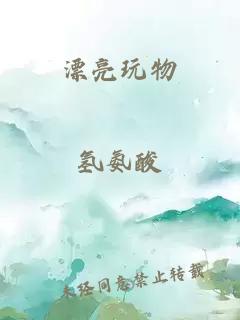 漂亮玩物